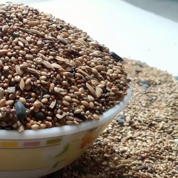 Budgerigar Seed Mix (Regular) - 1kg